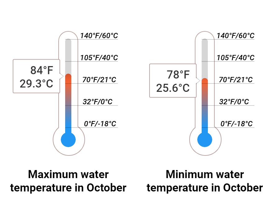 Average Sea temperature